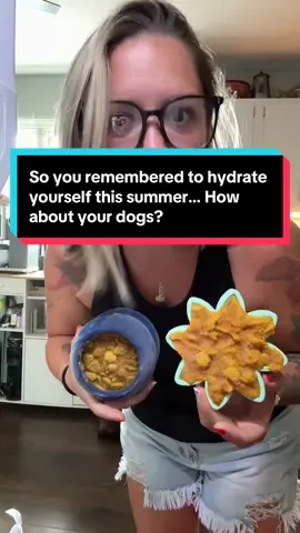 Keep your pups cool on these hot summer days with @Freezbone ! #freezbone ##enrichmentfordogs #slowfeeder #dogtreats #dogfood #dogmom 