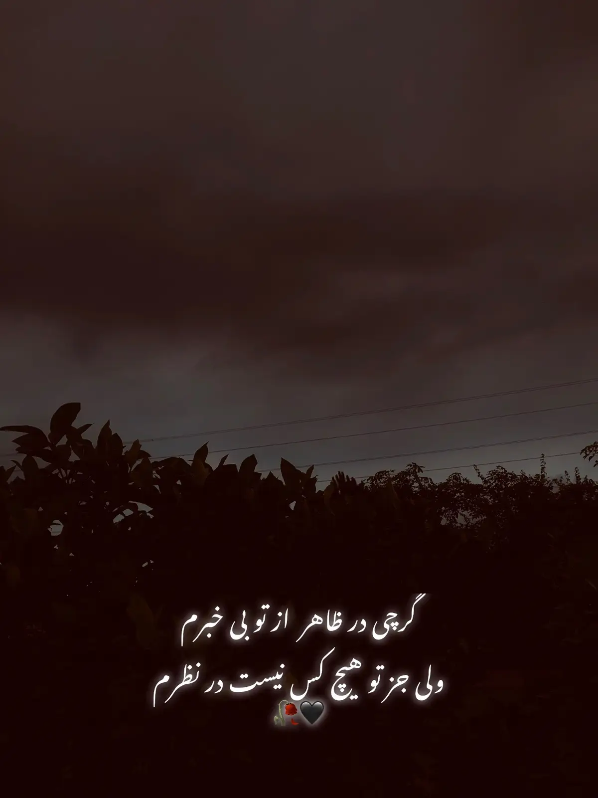 #غمگین____عاشقانه______شکسته__ # #درددل #💔🥀 #🥀🖤 