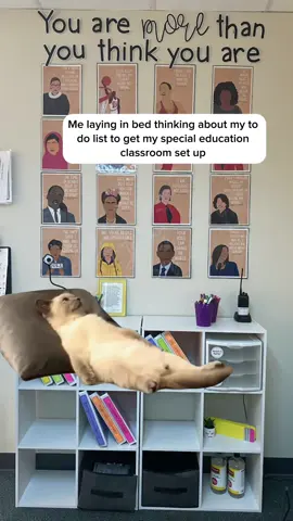 Are any of us getting any sleep at this point? #teacher #specialeducation #specialeducationteacher #teachersoftiktok #teacherlife #teachertok #specialeducation