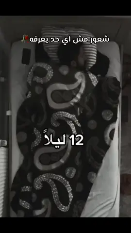#لعله_خير🖤🥀 #الجروح_ما_تطيبها_الايام🖤🥀🥀 #سهر_الليل🎻❤ #fyp 