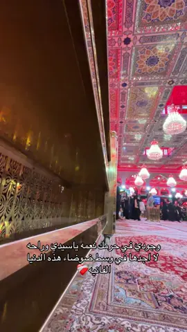 #السلام_على_الحسين_و_على_اصحاب_الحسين #يا_ابا_عبد_الله_الحسين💔 #كربلاء_مدينة_العشق_والعاشقين 