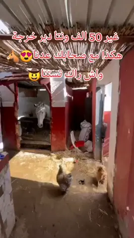 🎀Marhb bikom khouti🎀 😍permou jaib ma3a 4 sahbk😍 ou nata gartoui ❤bienvenue chez nous❤ pour faire des 🐴balades à cheval🐴 marhb bikom 📞numéro telephone 📞0793518429📞 #شعب_الصيني_ماله_حل😂😂 #شعب_الصيني_ماله_حل😂😂 #ش #foryoupage #oran #news #pakistan #partywear #comedia #10kfollowers😭😭😭😭 #toutlemonde🌍 