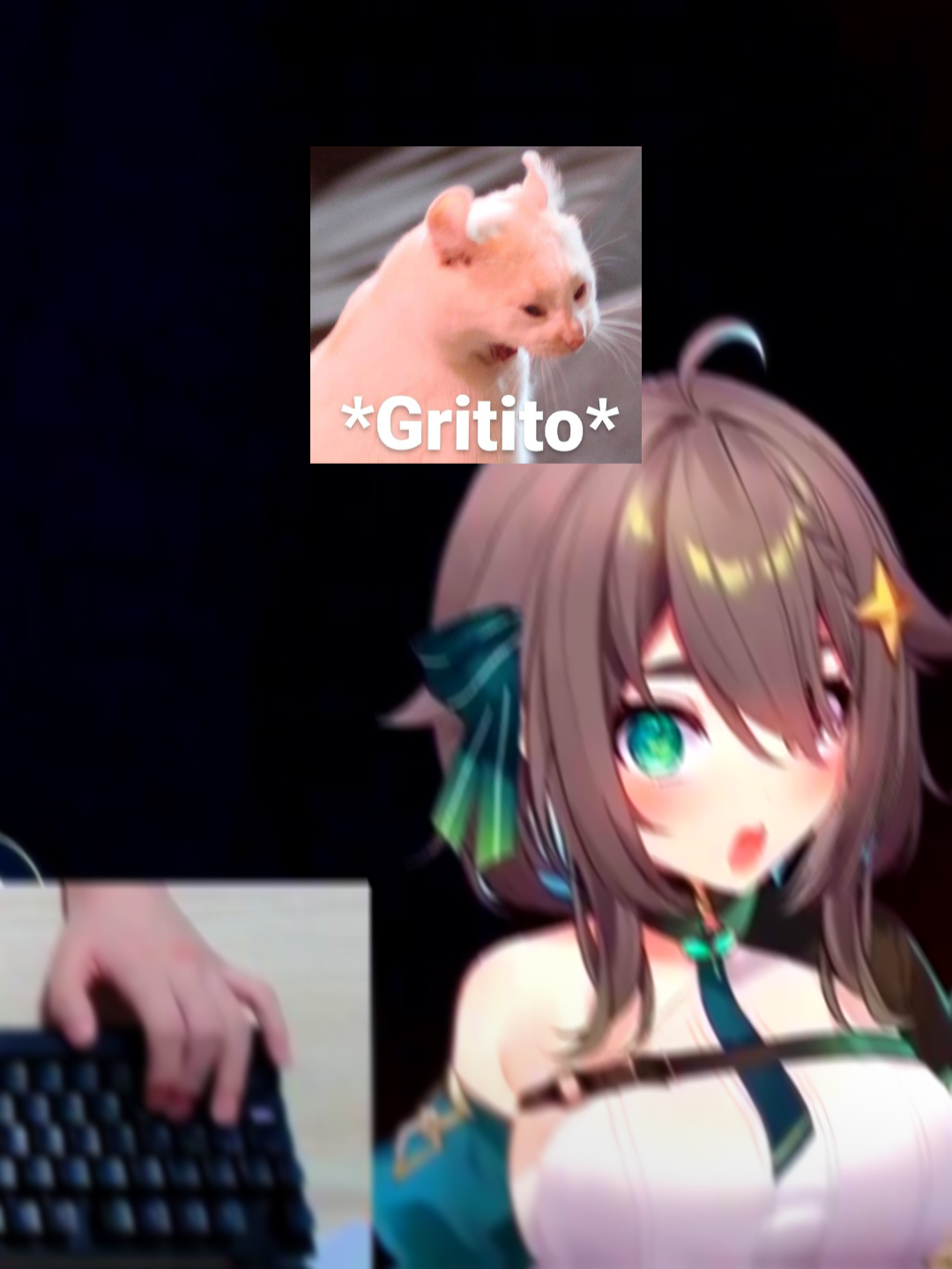 #repo #jumpscare #raiser #terror #meica #meica#meica05 #vtuber #empanadas #foryou