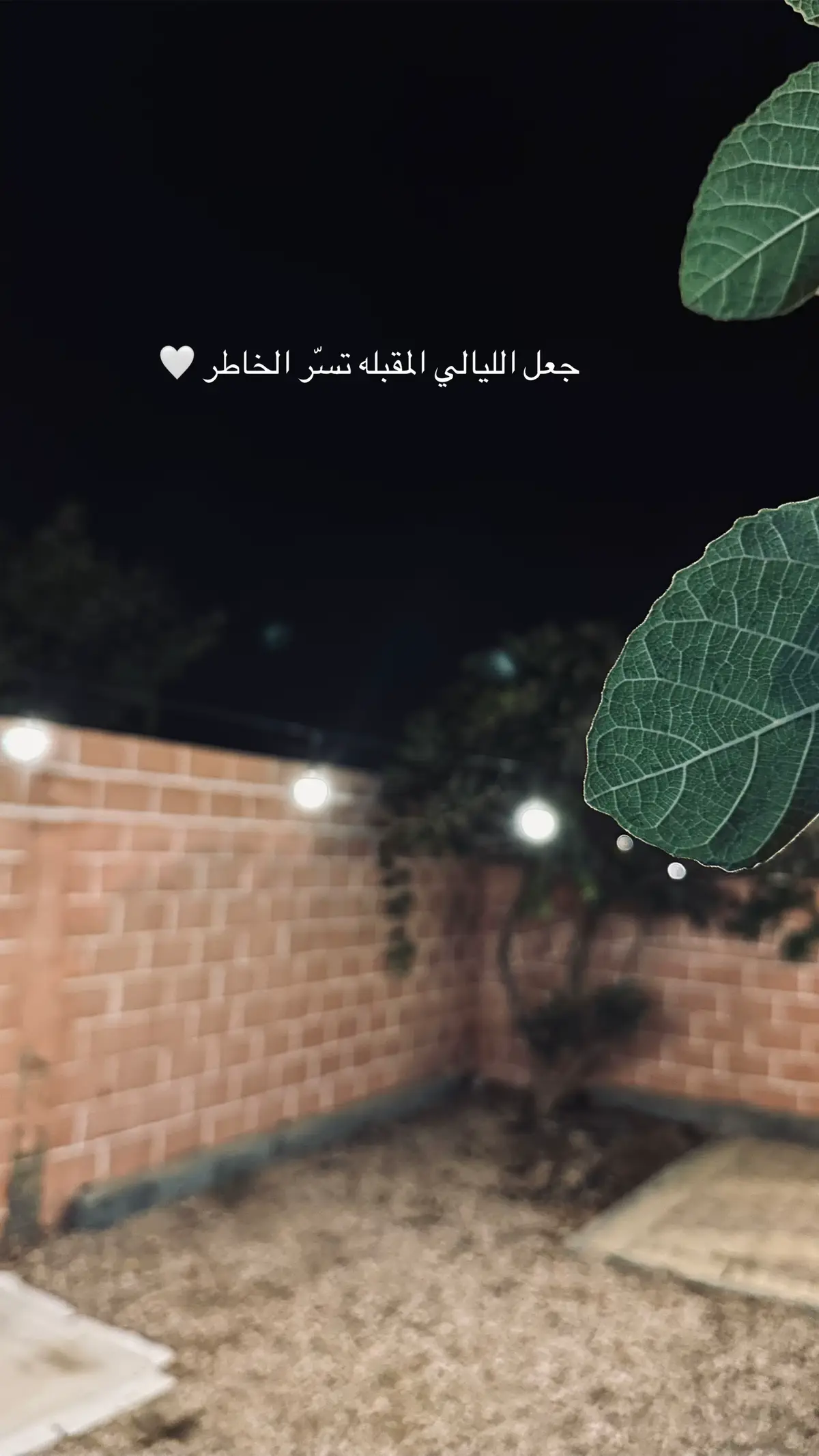 #اكسبلورexplore #شعب_الصيني_ماله_حل😂😂 #capcut #اكسبلور #أبها #شعر #الليل 