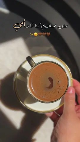 متل ليوم مرق 30 يوم وانا بعيدة متل ليوم ودعت اهلي وبلشت غربتي🤎✨#امي #شتقتلك #اهلي #مايحرمني_منكن_يارب🥺♥️ 