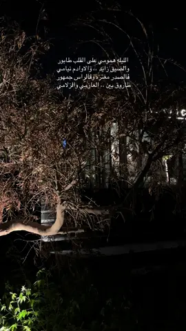 #تصويري  #شوقي_الطاغي#جديد_فلاح_المسردي_الوليد_ال_عامر #فلاح_المسردي#الوليد_ال_عامر 