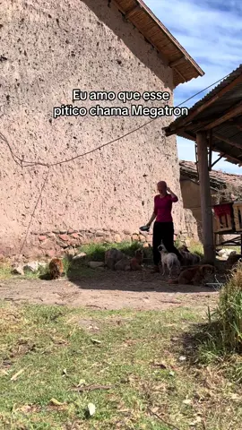 #voluntariado #humor #cachorro #worldpackers 