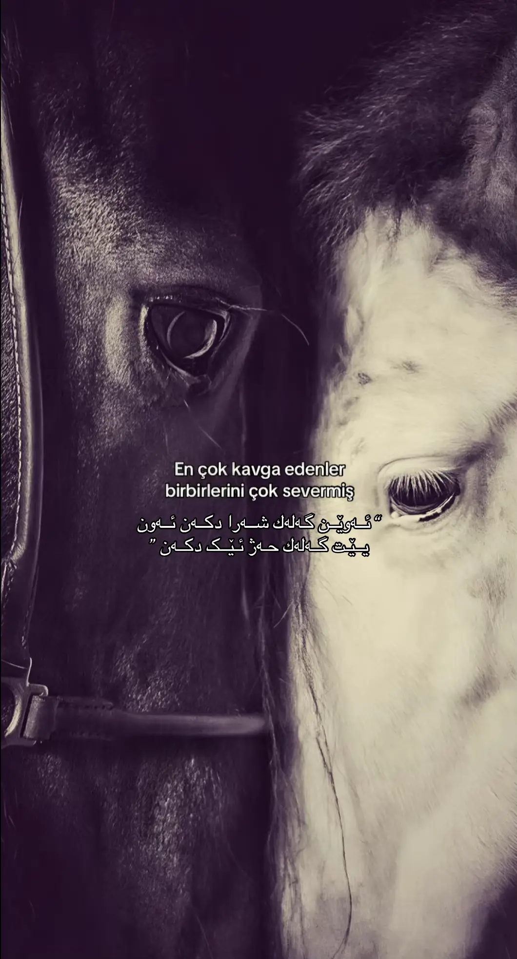 #sozler #sozlersayfasi 