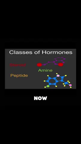 The 3 chemical classes of hormones #hormone #biology #information 