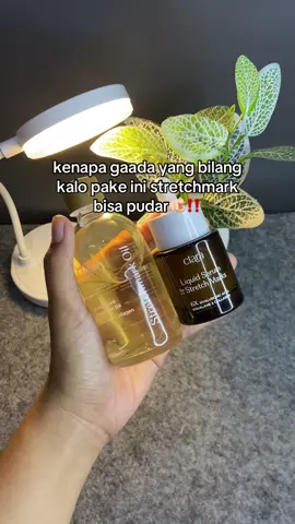 #stretchmark #promomakangajian 