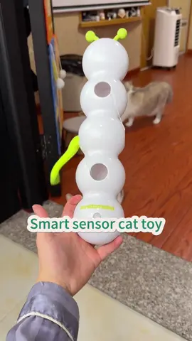 🐛⚡ **Self-play mode: ACTIVATED!** 🤖😻 Let your kitty chase, pounce, and *obsess* over the ** Smart Caterpillar Toy**! This suction-cup-powered wiggler uses *motion sensors* to dart and dance—keeping cats entertained for hours (even when you’re busy!). 🔋🎉  👉 **SWIPE** to see it in action—*chaos guaranteed*!  ✨ **Smart sensor tech** = endless unpredictable moves!  ✨ **Rechargeable** = no battery hassle.  ✨ **Suction cup base** = stays put during wild play!  💬 Comment “CATERPILLAR” to treat your cat to this spring’s *must-have* toy! 🌸  #SmartCatToys #allforpaws #CaterpillarChaos #CatLovers #SelfEntertainment #PetTech #PlaytimePerfection  —  **P.S.** Warning: May cause *extreme* zoomies, midnight “hunts,” and a cat demanding CEO status. 😼🌙