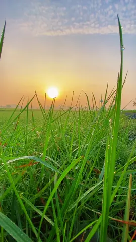 #CapCut Âm thanh thư giãn gửi tặng bạn . #radiothugian #thugian #yenbinh #binhminh #chill 