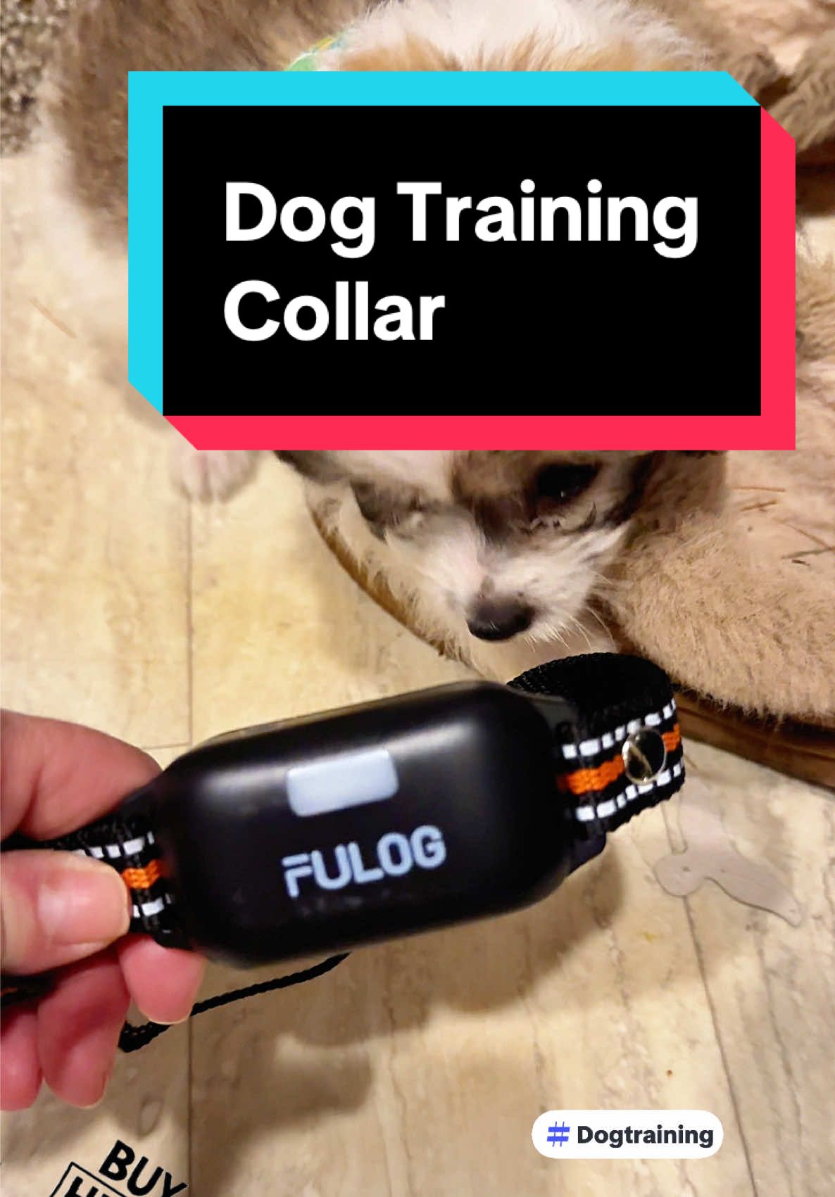 Training our pup just got so much easier 🐾 This smart dog collar is waterproof and works up to 3300 feet—perfect for off-leash park days or backyard play. No more yelling or chasing, just peace and pawsitivity 🐶✨ #DogTrainingCollar #WaterproofDogCollar #3300FeetRange #PuppyTrainingTips #DogMomLife #PetGadgets #TikTokMadeMeBuyIt #AmazonFinds #TikTokShop #PetTok 