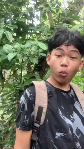 mini vlog||agy🙌🏻☘️🌱🌶️🥬🥦🌿🍃🪵🌳#bismillahfyp #fyp #minivlog #minivlogagy 
