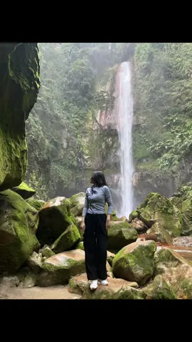 🌴🌳🌊