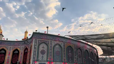 جنة الله في ارضه💚 #دمعة_على_الحسين #الطريق_الى_كربلاء #الحسين_يجمعنا #خدمة_الحسين #كربلاء #العراق #الامام_الحسين #العتبة_الحسينية #العباس #شروق #شمس #حمام 