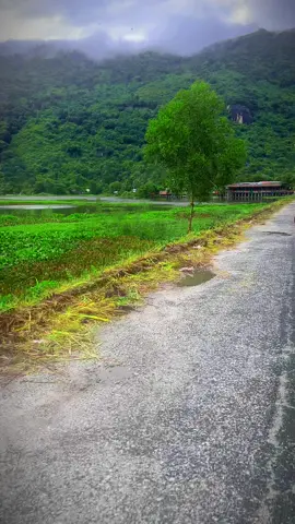 Hồ ô thum quán kiều tiên đường vô quán hơi bị xấu nhe mọi người #67angiang #xuhuong 