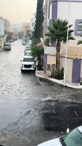 ابها ترفض الصيف ❄️🌨️#ابها_عسير #اكسبلور #ترند 