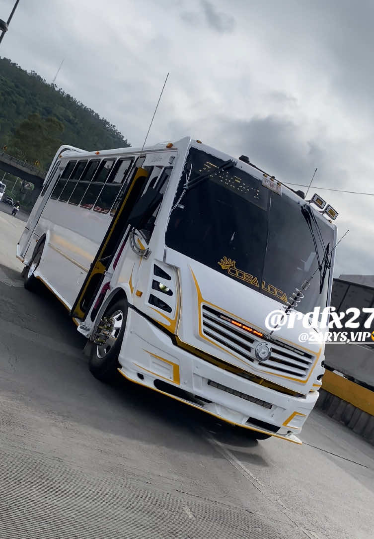 Cosa loca y excalibur #busestuningvip🔱 