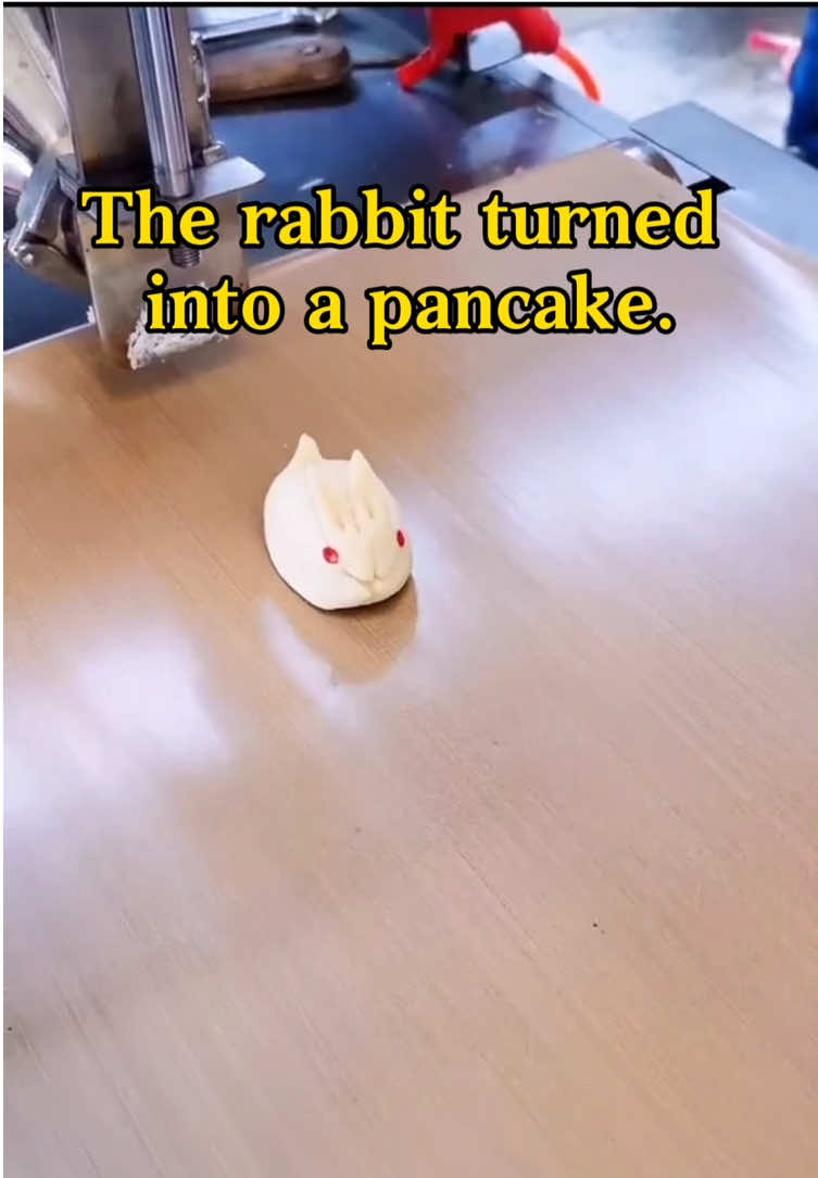 The rabbit turned into a pancake.#robot #industrialrobot #automation #machine #rabbit 