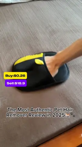 Pet 2025 dropshipping winning products #dropshipping #rich #ecommerce #onlinebusiness #SmallBusiness #winningproducts #shopify #ecom #makemoneyonline #shopifyseller #tiktokmademebuyit #fyp #dailyfulfill 