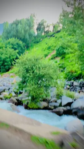 #PC Park #naturalbeauty #tourism #tv ##kalam 