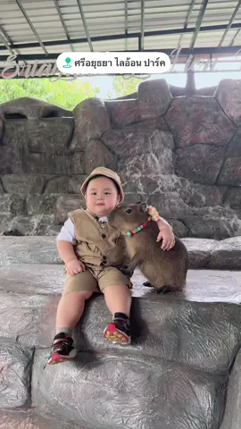 #สวนสัตว์tiktok #คาบิบาร่าา🐻 #สไตล์การแต่งตัว #ลูกแม่น่ารักที่สุด #หมูอ้วนสิบสองชั้นน เมื่อหมูอ้วนอยากถ่ายรูปกับคาบิบาร่า 🐻🐻