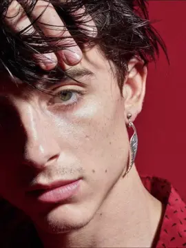 TIMOTHEEE CHALAMEEEEEET #timotheechalamet #fineasf #hottie #iminlove #needthat #fineshyt #timotheechalametedit 