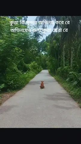 অভিনয়ের জন্য কুত্তা সেরা রে 🤧🐸 #tiktok #bdtiktokofficial🇧🇩 