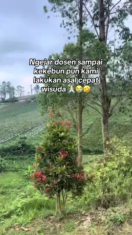 Mari ucapkan Alhamdulillah 😭🙏🏻 #skripsi #semseterakhir #fyp 
