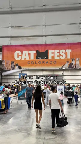 best Caturady ever. Next Colorado Catfest is November 9 in Denver! #colorado #denvercolorado #catfest 