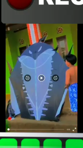 kobra terbang