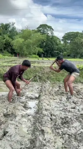 garelut di sawah #garelutdisawah #garelut 