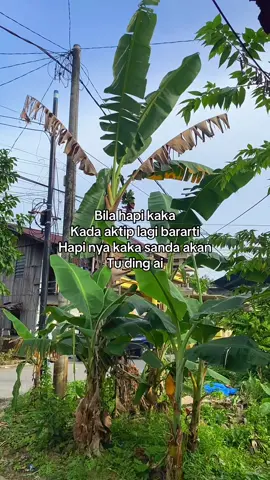 Kaina bila cair duit upahan batabas kaka tabusi ai pulang ding ai