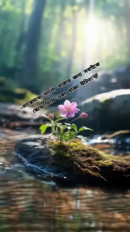 #magic_touch💫 