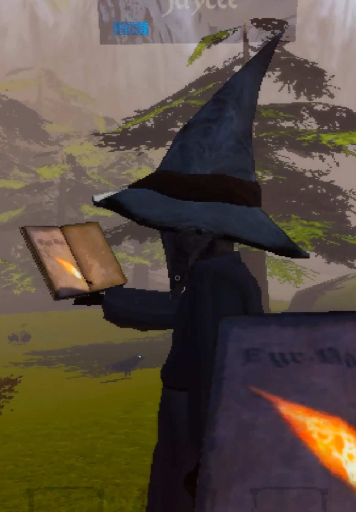 Best wizard of all time #magearena #gaming #funny #fireball @JC 