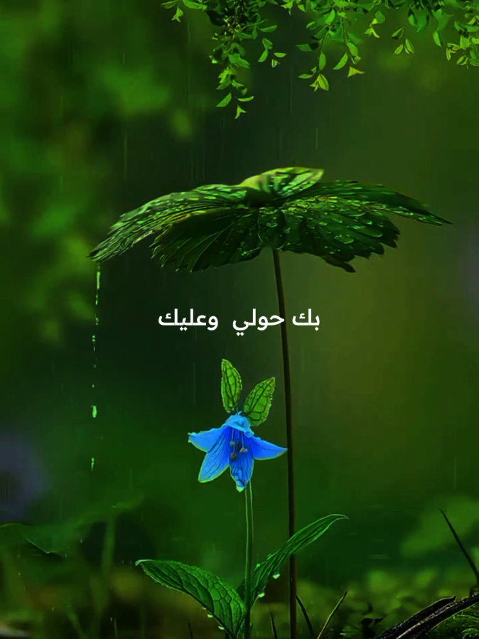 #نور_دربي_يآ_رب 
