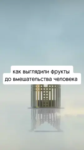 #милграм #милграмубивает #milgramedit #milgram #анстархуйня #ensemblestars 