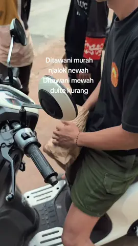 sampek kyo mar#pejuangcod #hobiburung #kicaumania #pecintaburung #storykicau #pecintapleci 