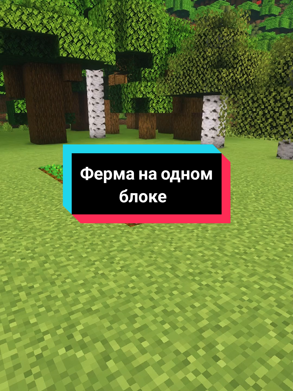 Ферма на одном блоке или как построить фармилку еды в Майнкрафт #minecrafttutorial #minecraftbuilding #Minecraft #minecraftstarterhouse #minecraftfarm #фени #feni 