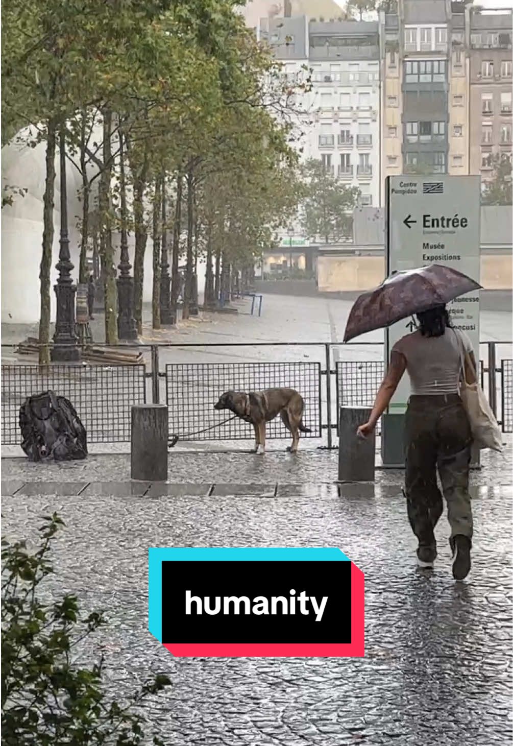 humanity 🥹 #humanity #dog #paris #fy #foryou 