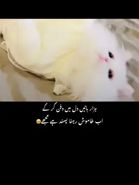 #fyp #fypvirl #sadpoetry #sadpoetry 