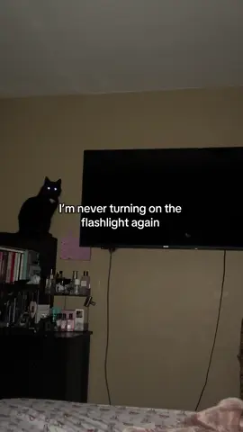 lesson learned #fyp #catsoftiktok #blackcatsoftiktok #cats #blackcats 
