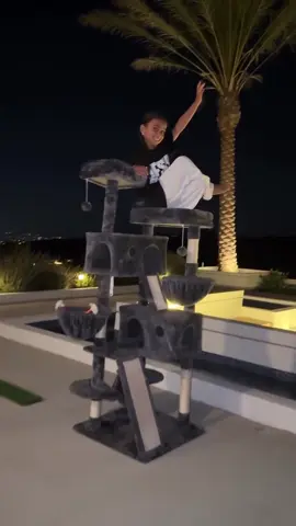 @blacchyna posted her daughter #Dream doing the @Nicki Minaj #HighSchool challenge on top of a cat condo. 😍😍😍🦄🦄🦄♥️♥️♥️🔥🔥🔥🔥 #catcondo #cattree #NickiMinaj #CelebsLoveNickiMinaj #barbz #DreamKardashian #BlaccChyna #foryoupage #fyp #foryou #Queen #QueenOfRap #gagcity #fypシ #OnikaTanyaMaraj  #HighSchoolChallenge #NickiChallenge #TheNickiChallenge #NickiMinajChallenge #NickiMinajPoseChallenge 