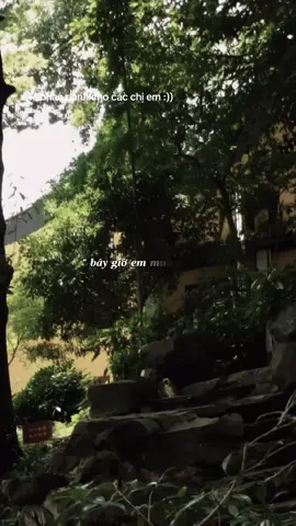 #CapCut bây giờ em muốn gì nè..#nhachaymoingay #nttcapcut #cmgmusic #xuhuongtiktok #xh 
