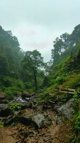 Terkagum kagum Ya Allah😍🥰 . . . . . #wisataalam #purwokerto #curugcipendok #keindahanalam #indonesia 