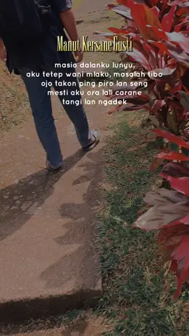 #CapCut 