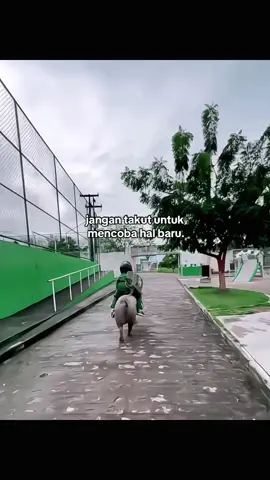 Sc vid : @gutinho_rocha 