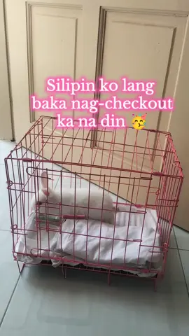 Bunny Cage 🐰🐇🥕 #petcage  #rabbitcage  #rabbit  #rabbitsoftiktok  #fyp  #affiliatemarketing  #affiliate 