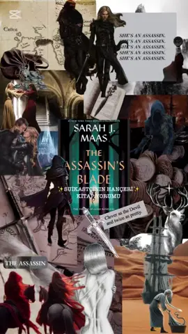 🗡️🦌                                                                                                 #book #books #BookTok #booktoker #booktoktürkiye #kitapönerisi #camşatoserisi #sarahjmaas #suikastçınınhançeri #theassassinsblade 